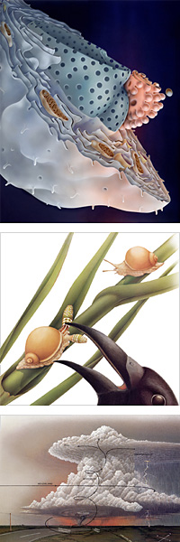 奈良島知之氏作品