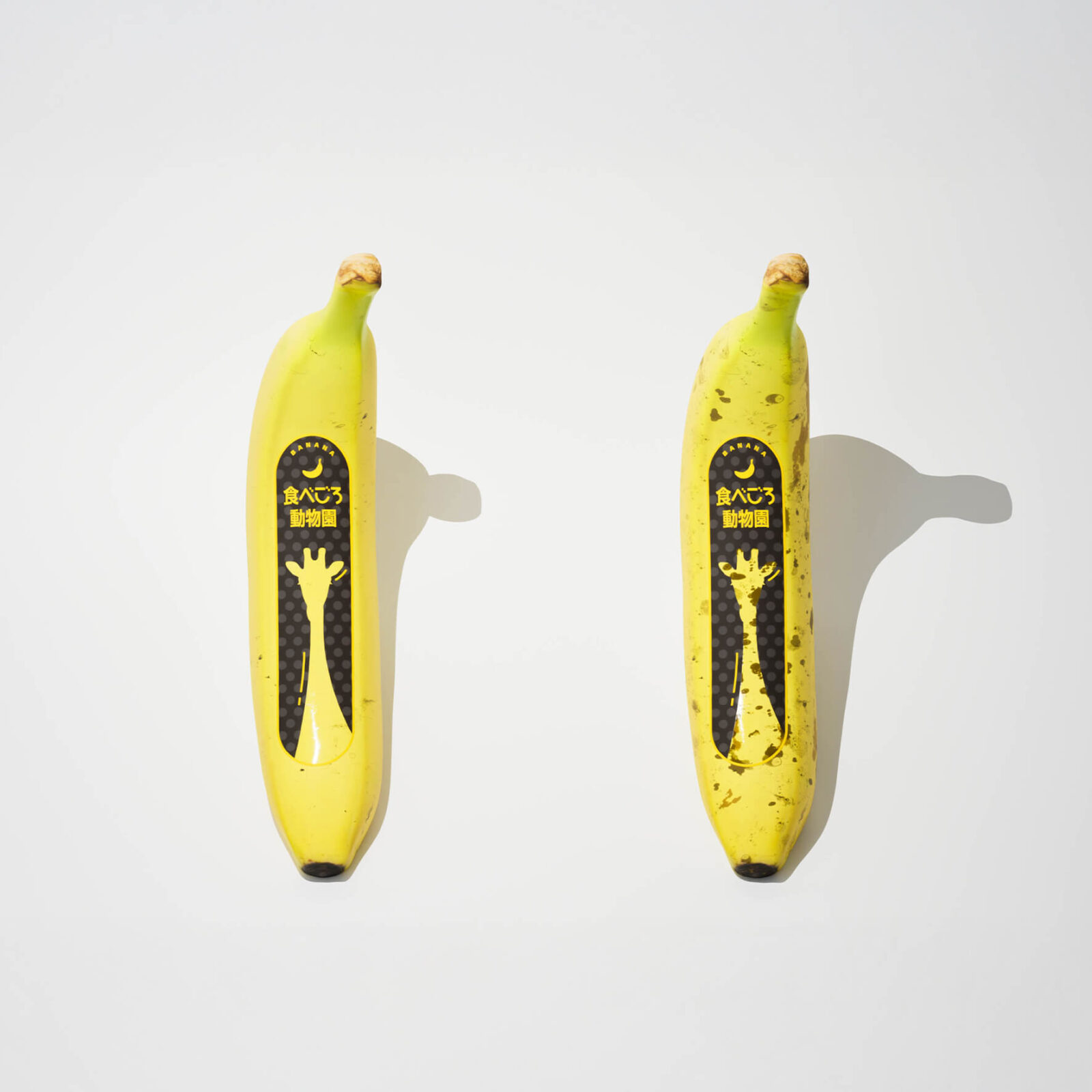 <br />
<b>Warning</b>:  Undefined variable $alt in <b>/home/xs781169/kds-doso.net/public_html/wp/wp-content/themes/kds2025/single.php</b> on line <b>18</b><br />
