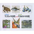 生き物図鑑and草加の図鑑