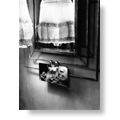 写真集「Dark  Light」